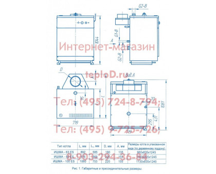 Газовый котел ИШМА 100 Elettro Sit (Сит) Боринское